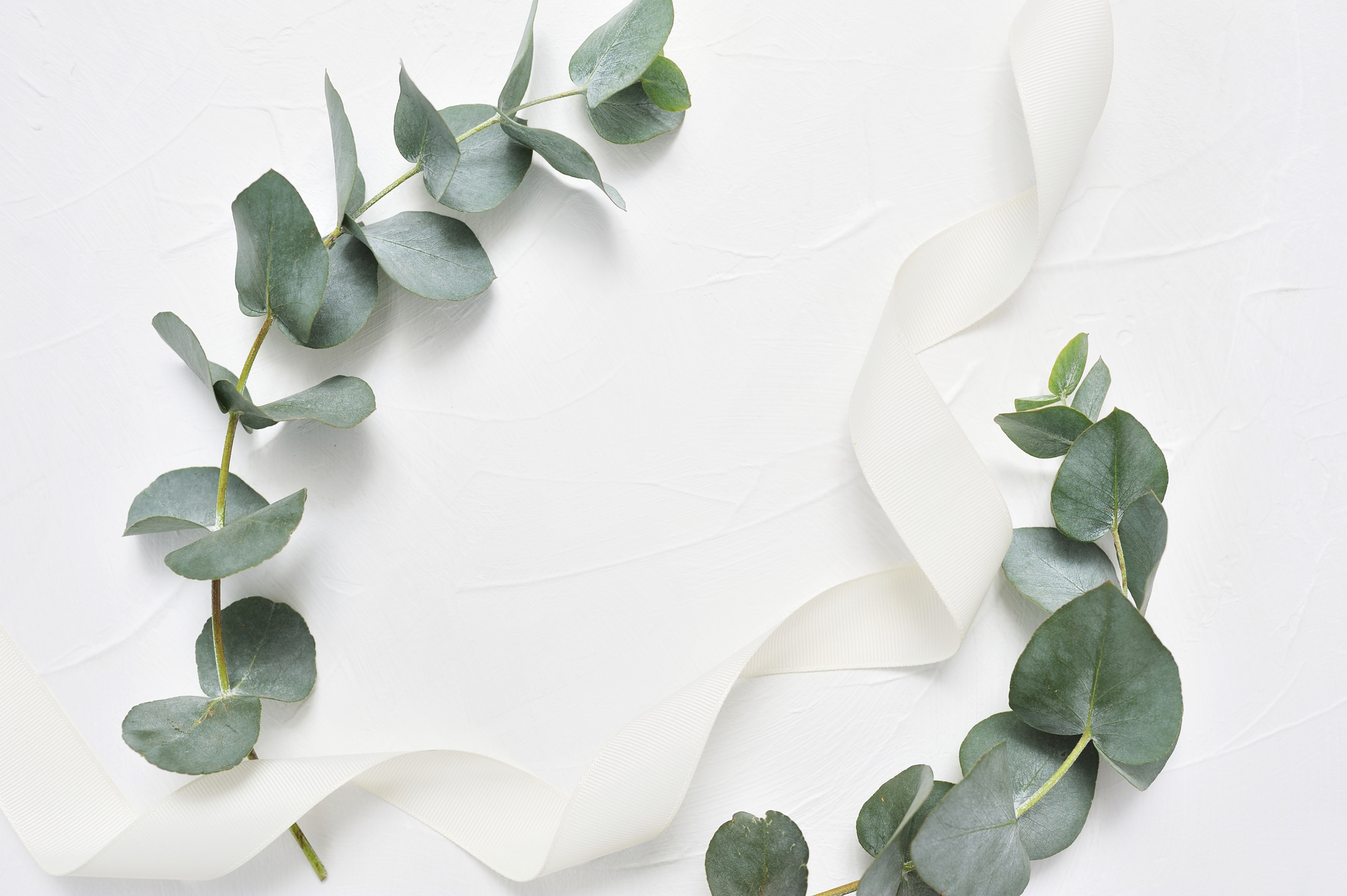 Eucalyptus Leaves and Ribbon Frame 